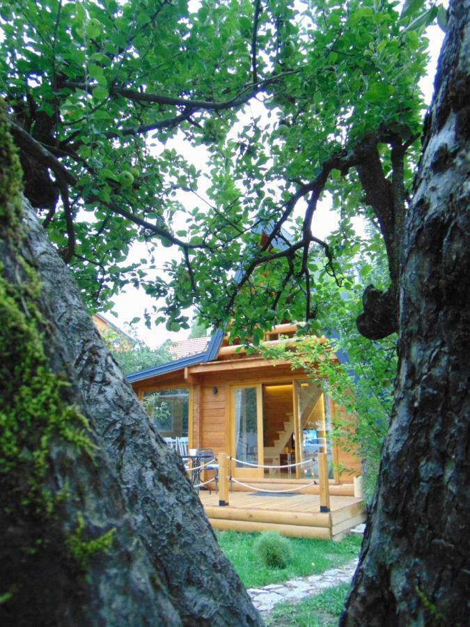 Apple House Villa Cetinje Exterior foto